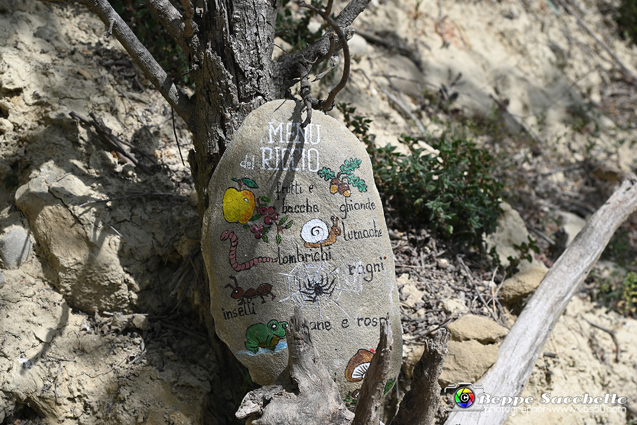 VBS_3061 - Mango (Cuneo) - Gnomovia.jpg